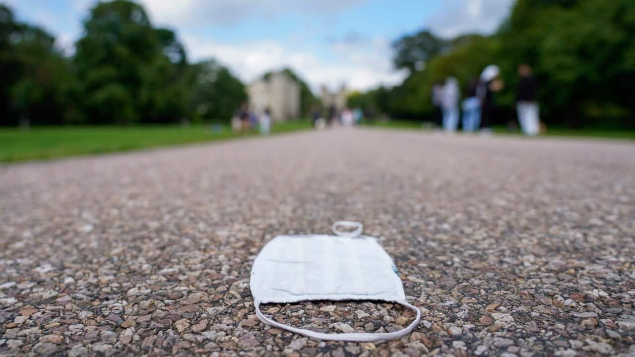 Image for read more article 'READ MORE'