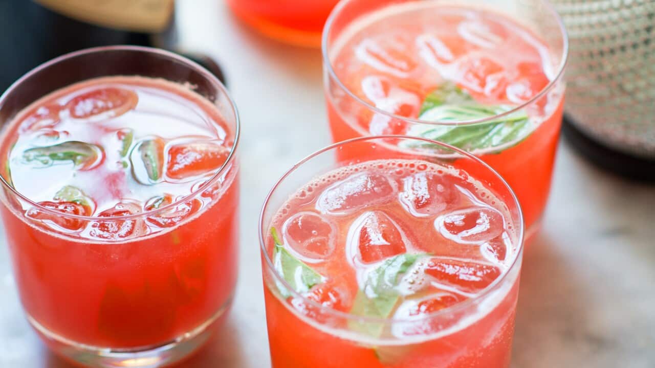 Watermelon and basil gin fizz