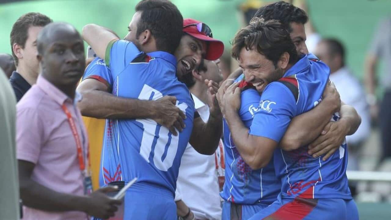 cricket world cup