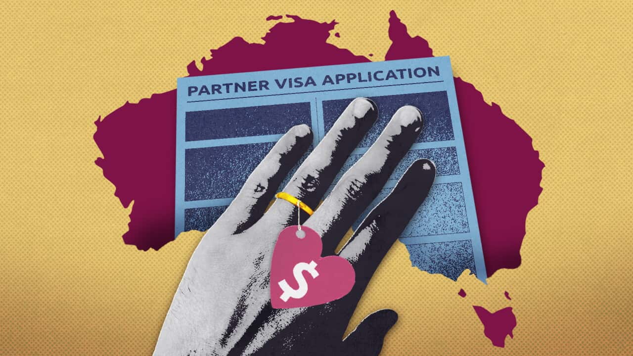 PARTNER VISA SQUEEZE HEADER 16X9.jpg