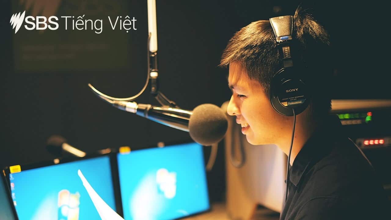 Vietnamese News Bulletin
