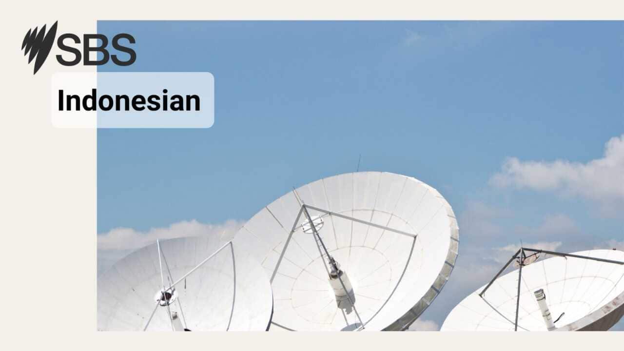 Berita Terkini SBS Audio