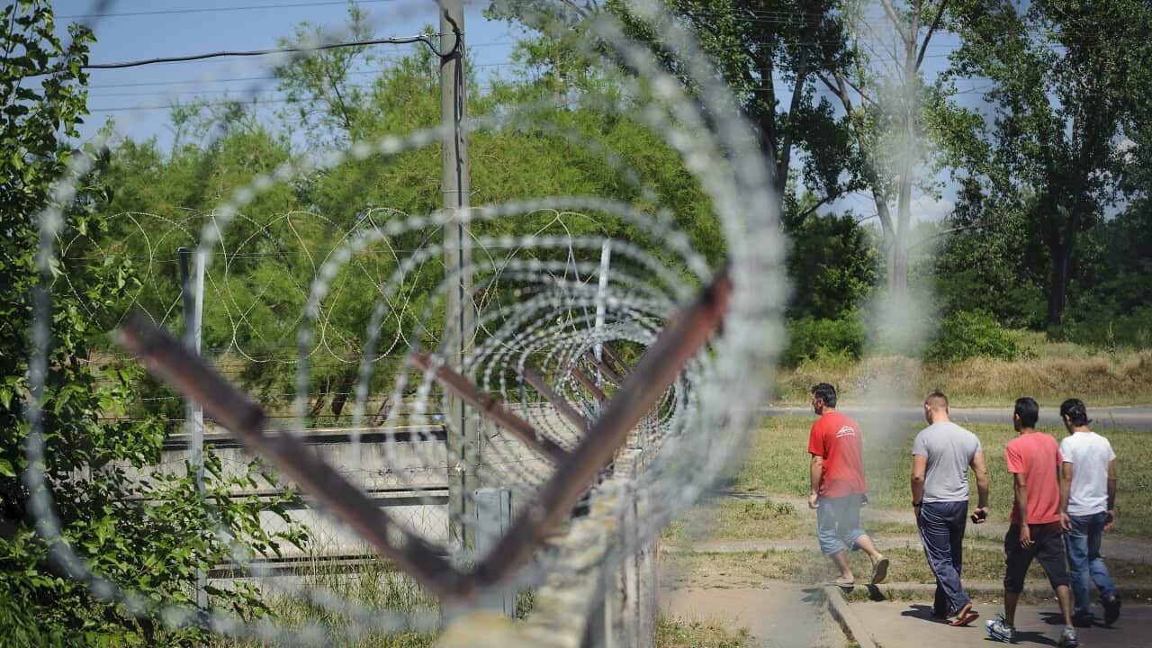 Illegal migrants walk toward the city centre next to the fence around the refugee camp in Debrecen, 221 kms from Budapest