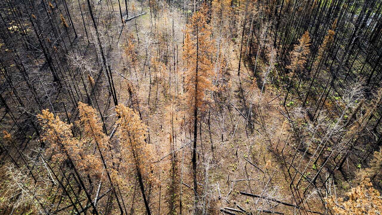 Canada Wildfires