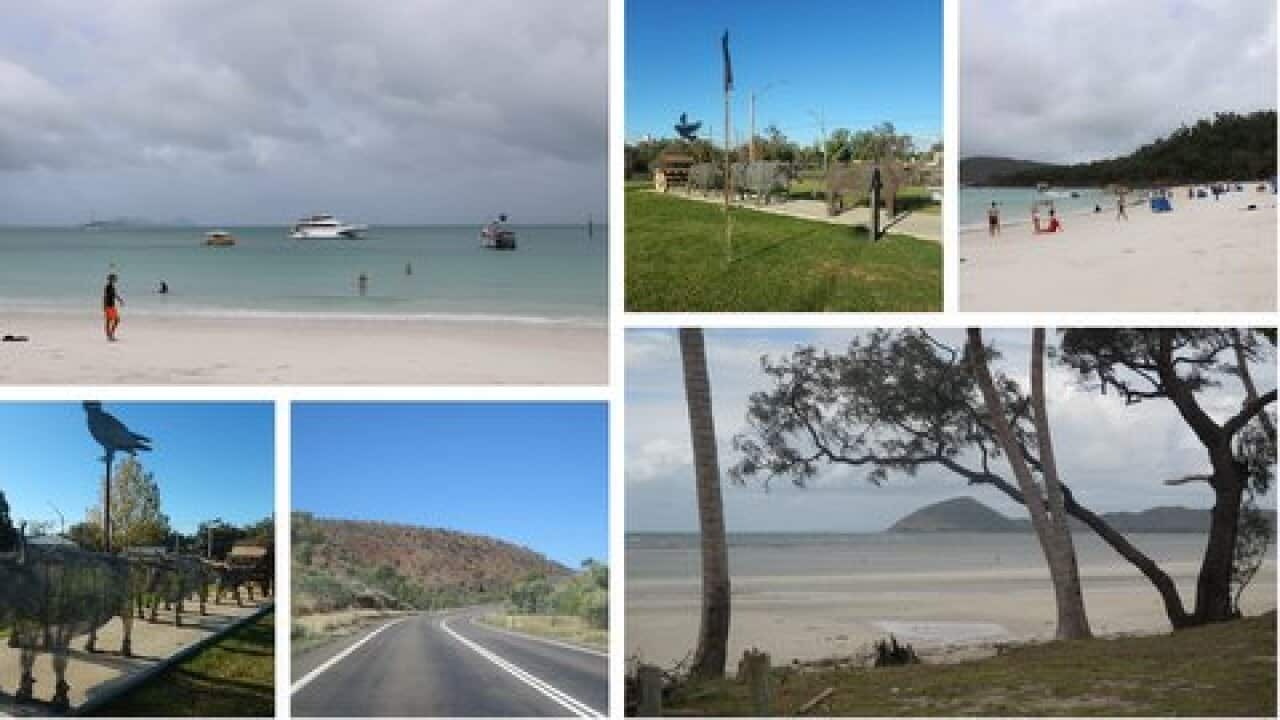 wildlife and ecological beauty in Australia