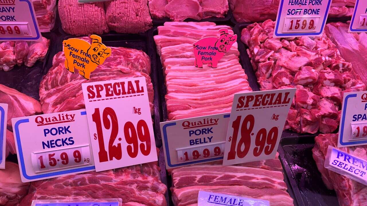 Tomaru41 Female Pork 2.jpg