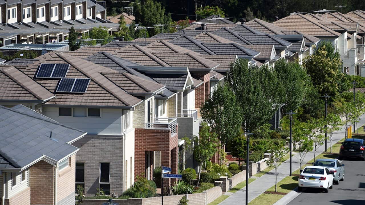 General view of housing in Sydney
