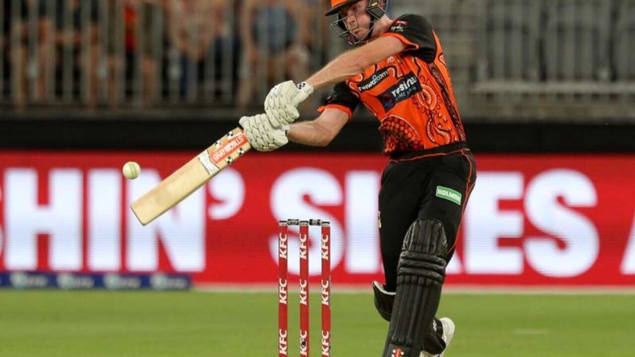 CRICKET BBL SCORCHERS STARS TURNER
