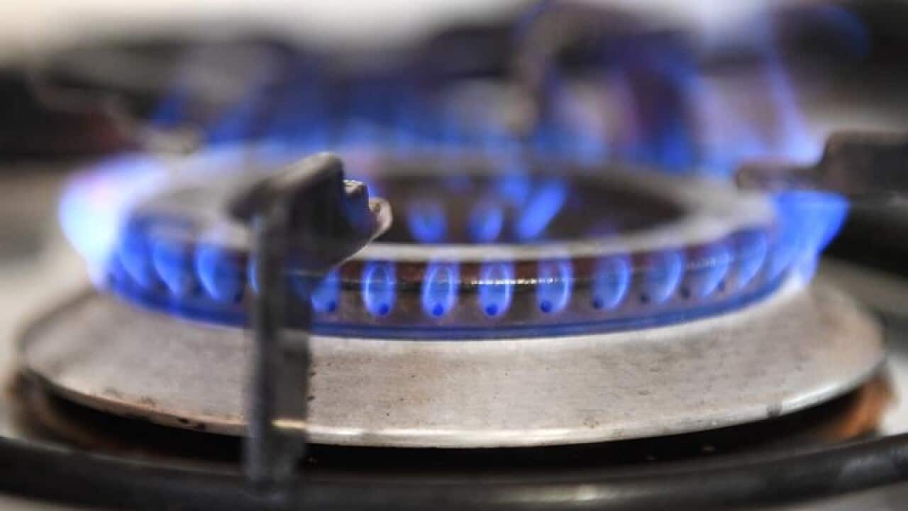 Kitchen gas stove burner