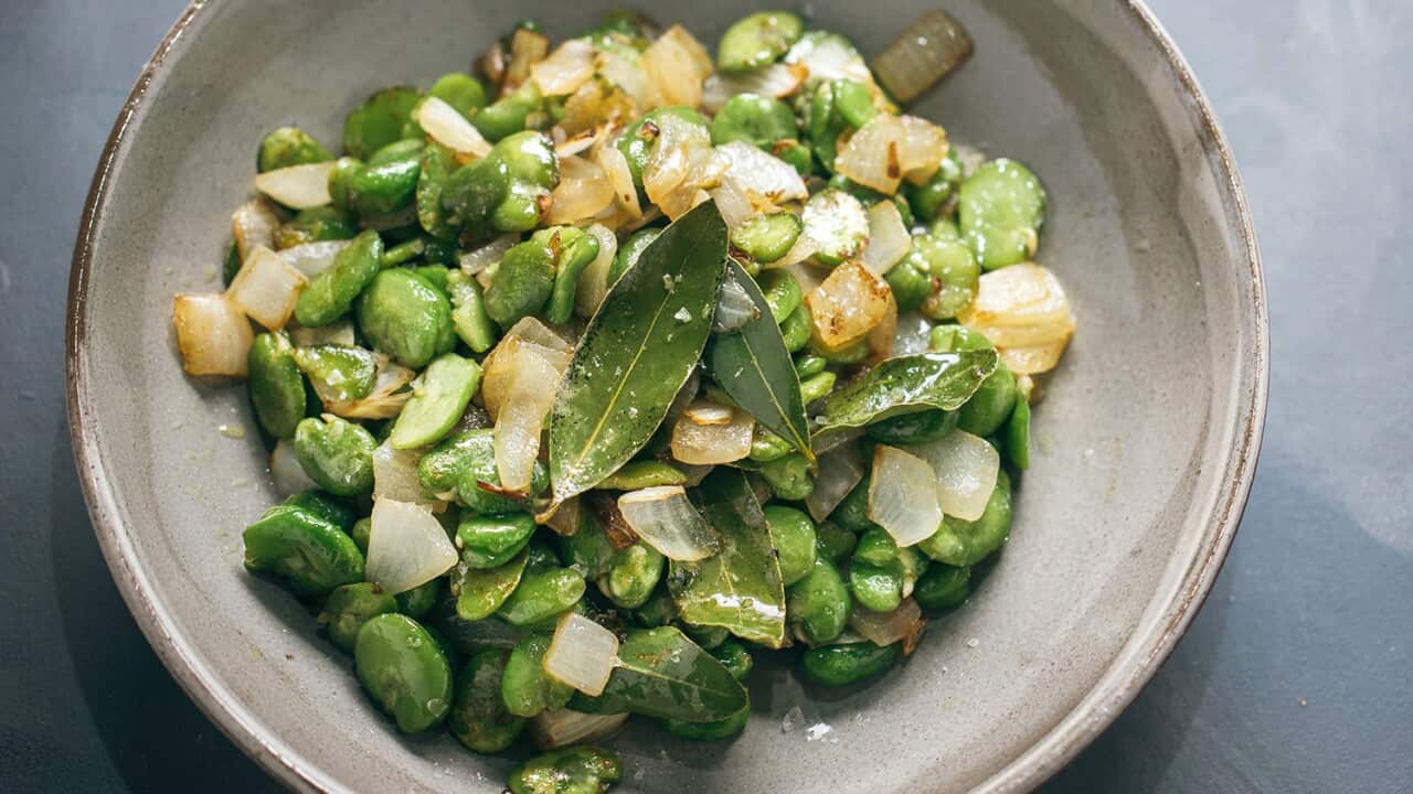 Italian sauteed broad beans