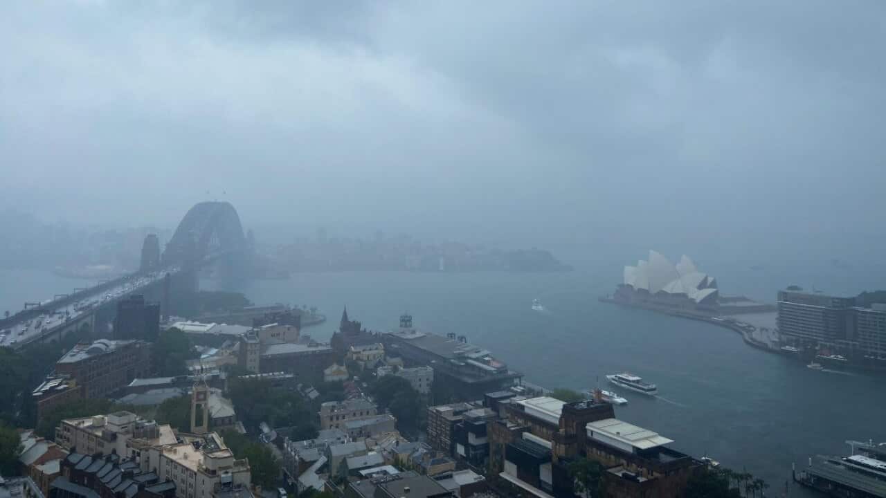 Sydney is expected on Friday to receive 10-25mm while up to 50mm are forecast for parts of the state along with thunderstorms.