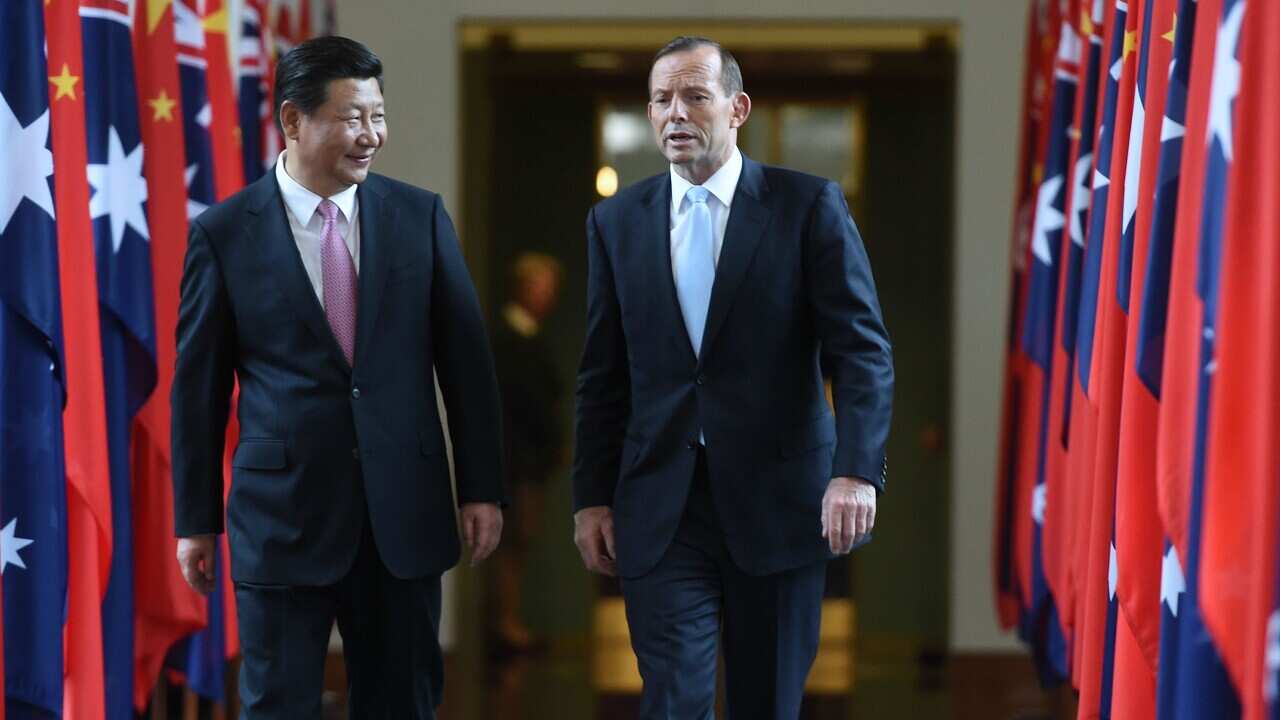 President Xi Jinping Attends Meetings In Canberra Following G20 Summit