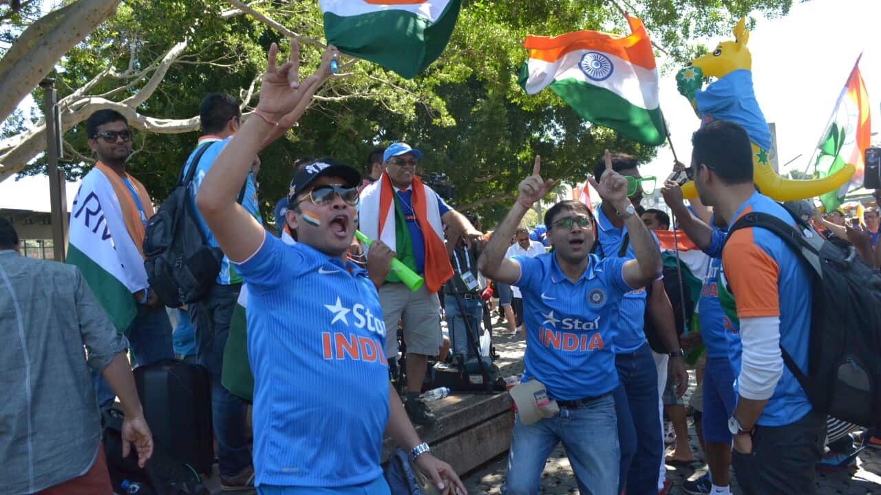 Indian cricket fans