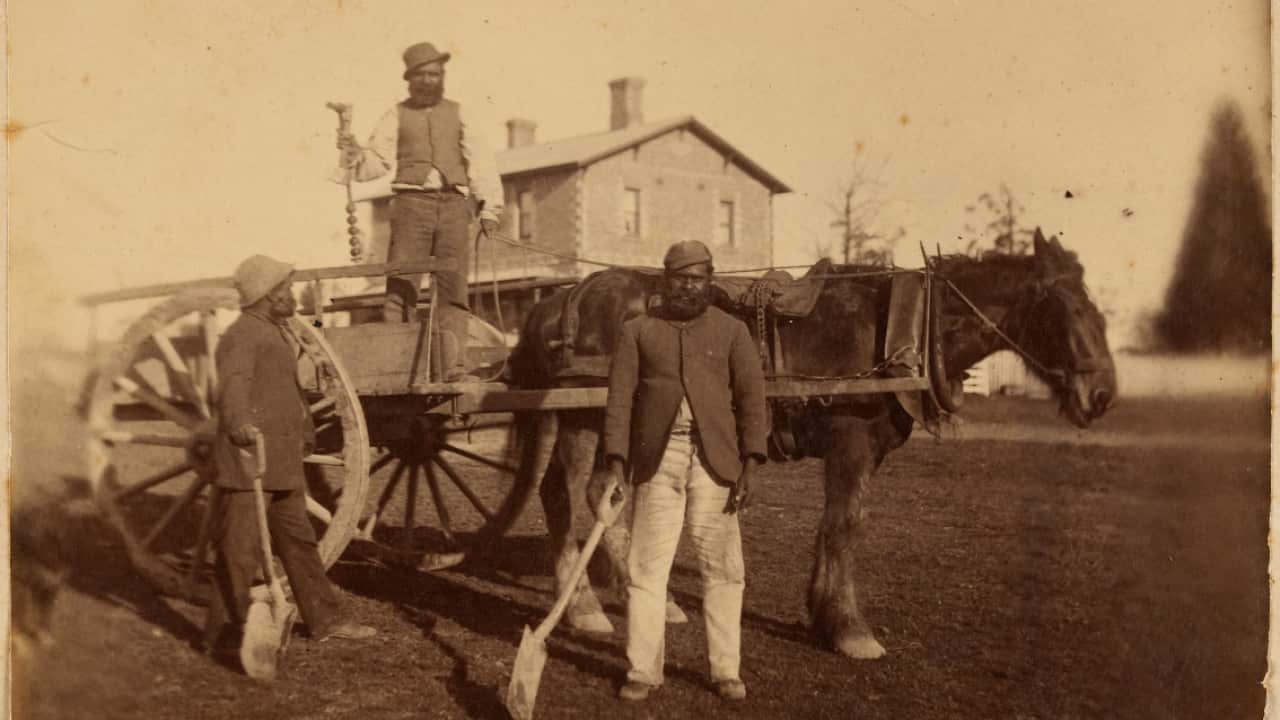 first australians sbs.png