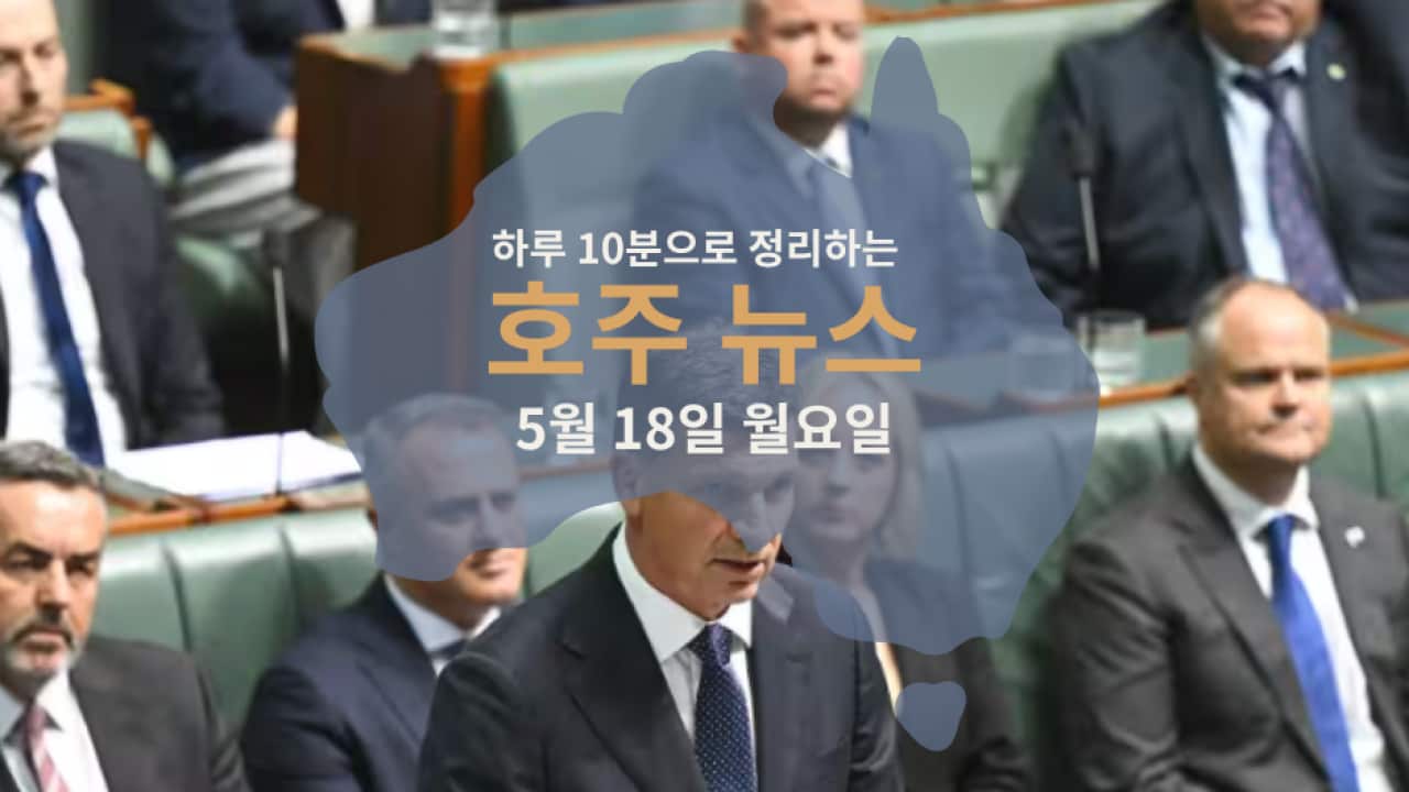 Daily News (1).png