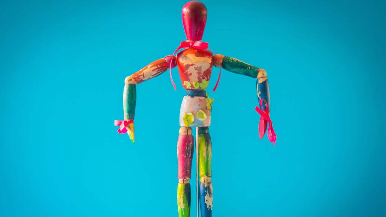 joint-human-anatomy-shoulder-skeleton-organ-human