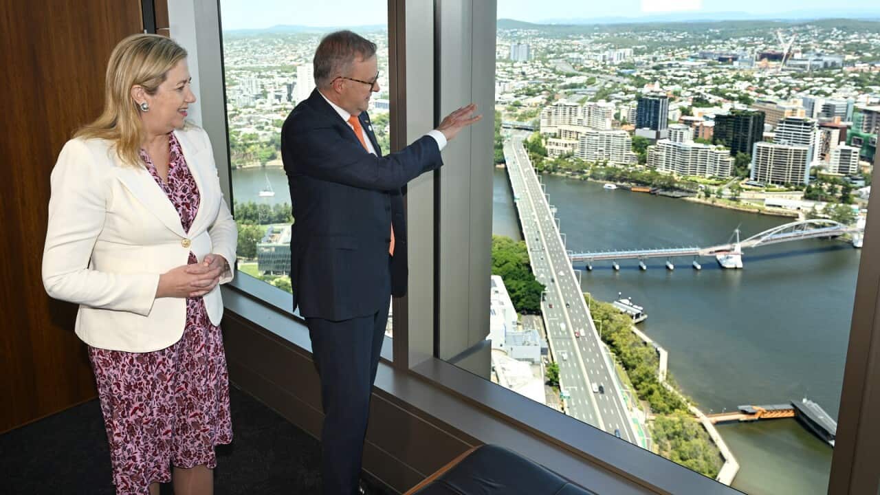 Prime Minister Albanese and Queensland Premier Palaszczuk look out a window at a view of the city of Brisbane.