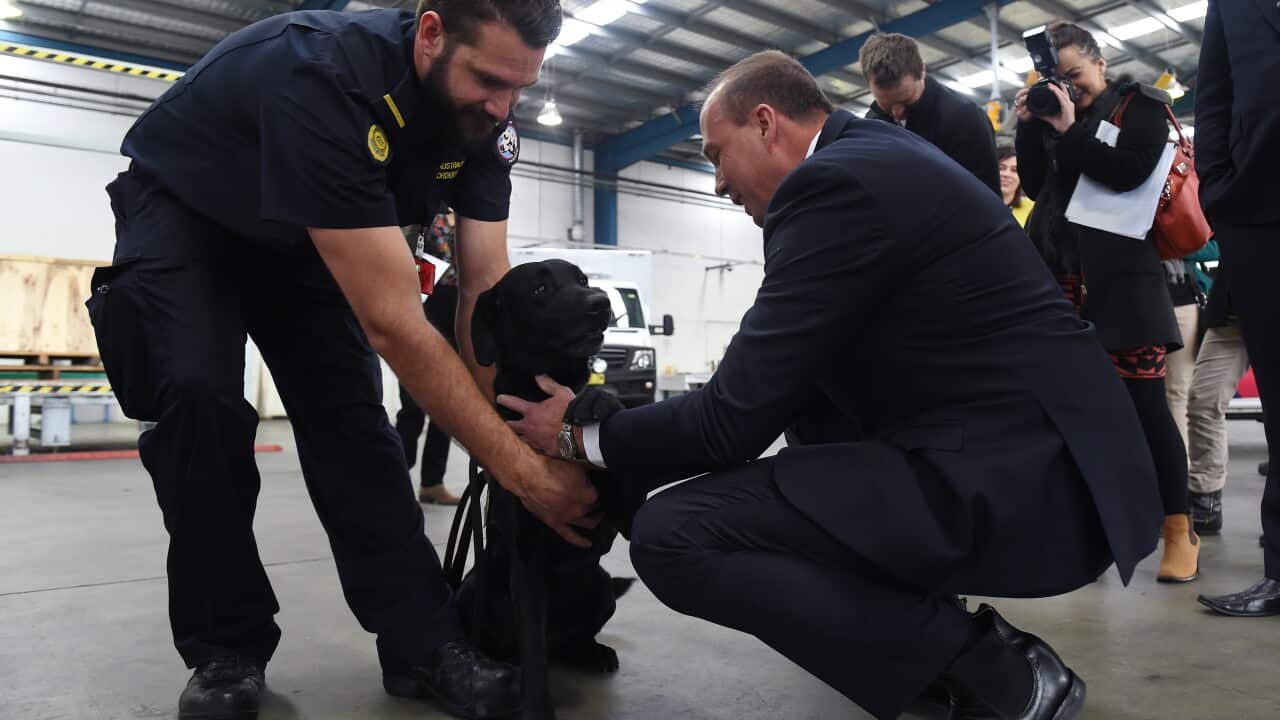Minister for Immigration and Border Protection, Peter Dutton (right), meets with sniffer dog, Taipan, and handler, Peter, during a tour to the Container Examination Facility in Sydney on Wednesday, July 22, 2015. (AAP Image/Paul Miller) NO ARCHIVING