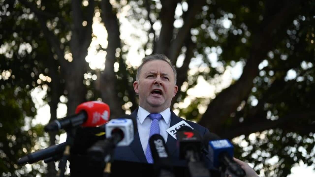 Labor leader contender Anthony Albanese speaks to the media in Sydney.