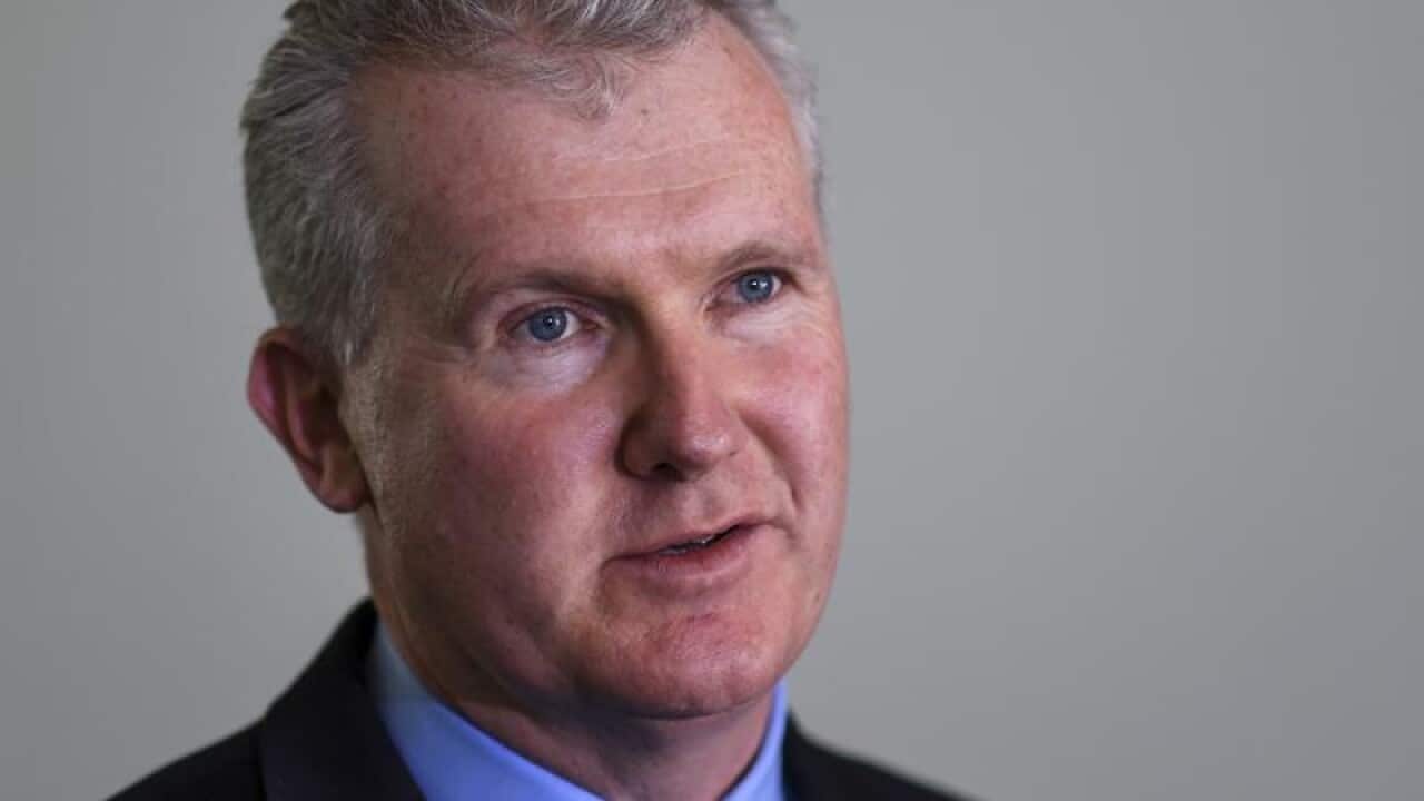 Labor's Tony Burke has questioned the PM's plan.