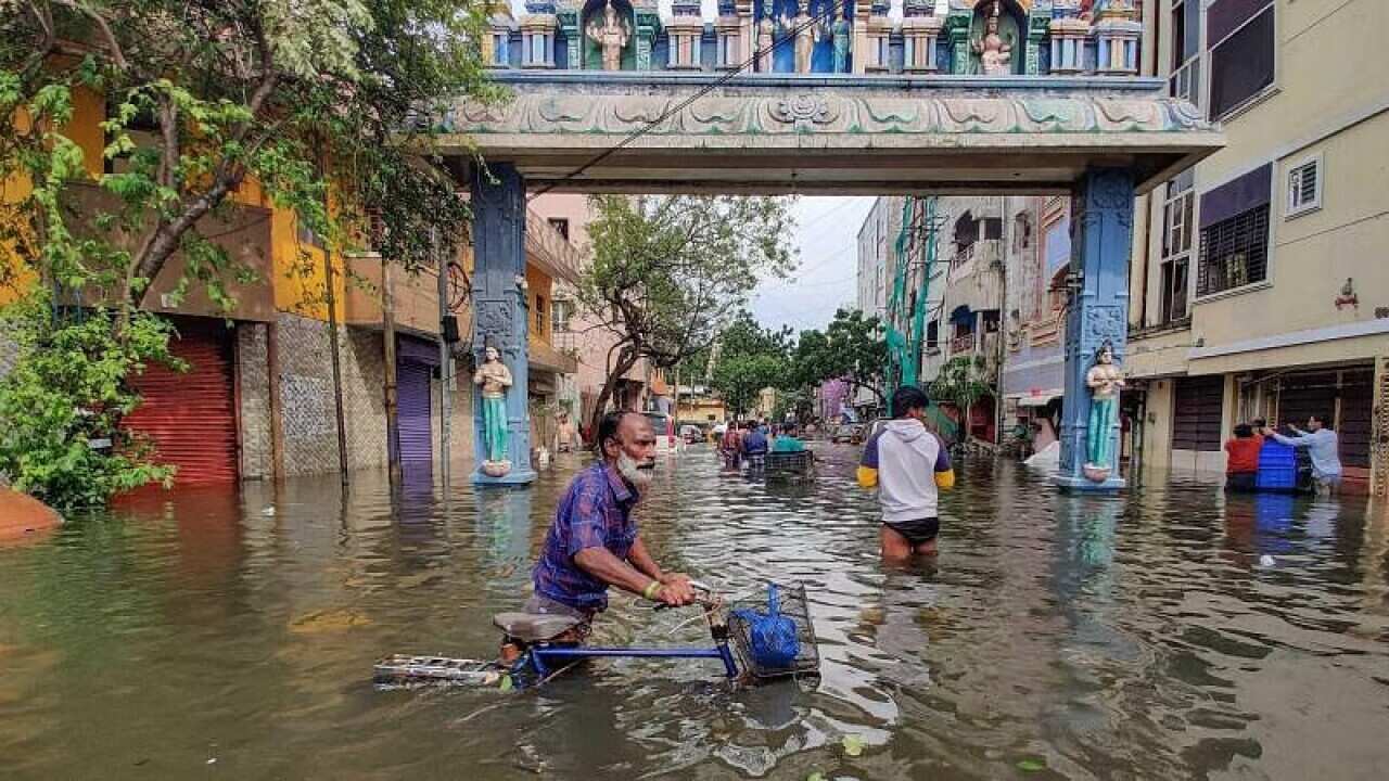 Focus India