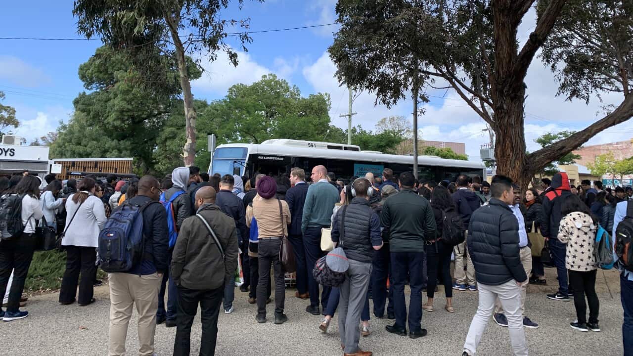 Werribee/Williamstown lines: Buses replace trains Newport-Footscray due to a person struck by a train