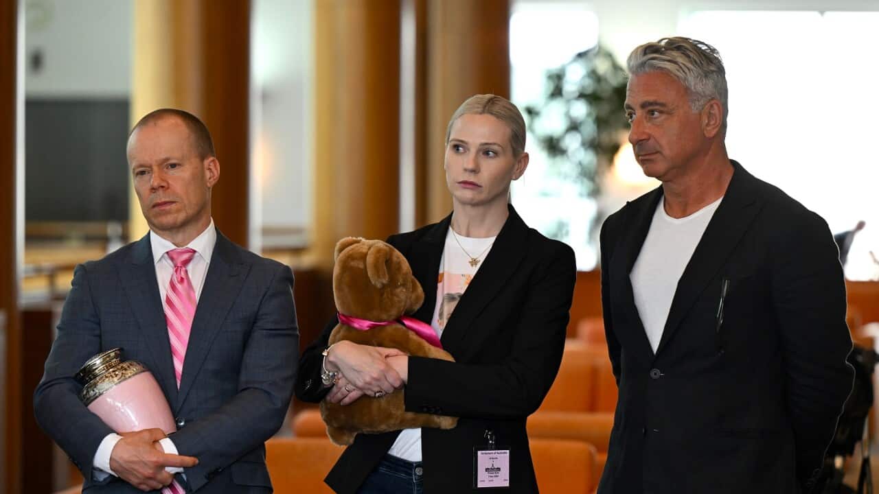 SOCIAL MEDIA PETITION PRESSER