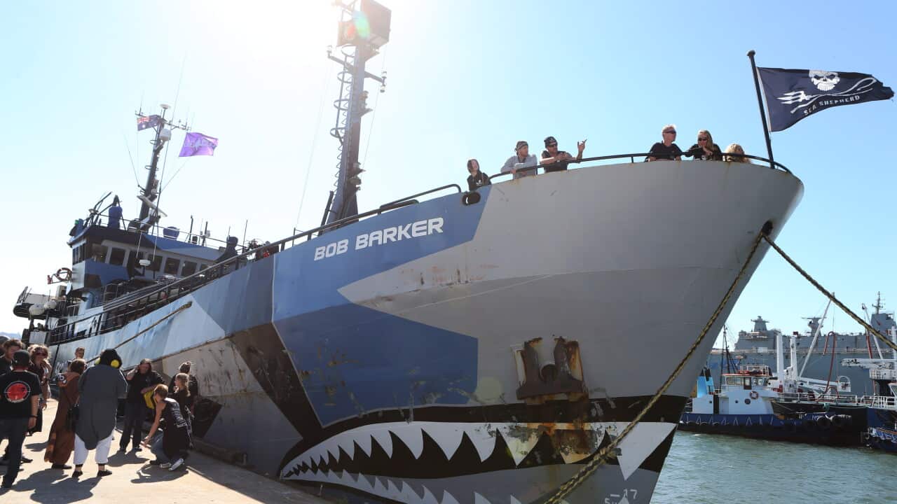 sea_shepherd_bob_barker_aap.jpg