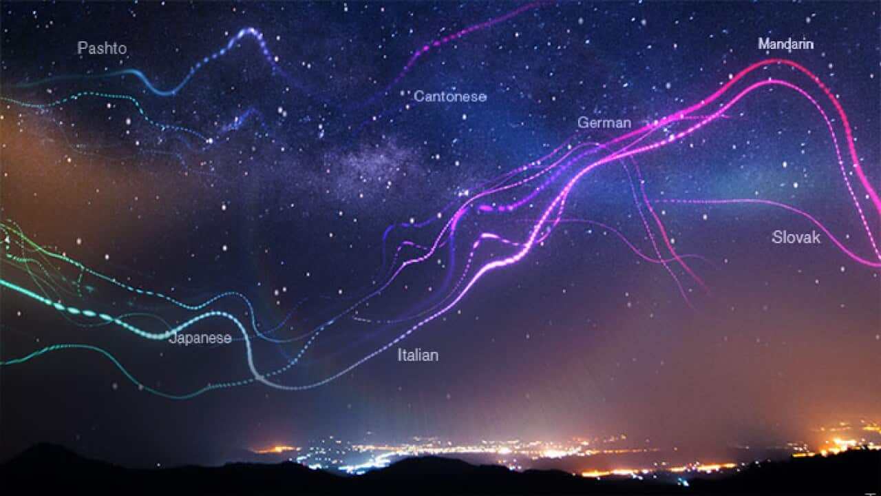 Radio Consultation Homepage header