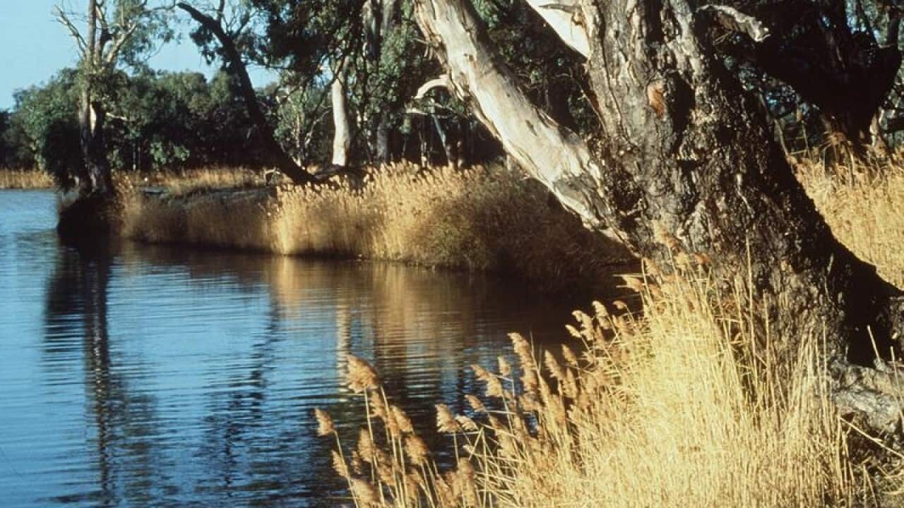 Murray River