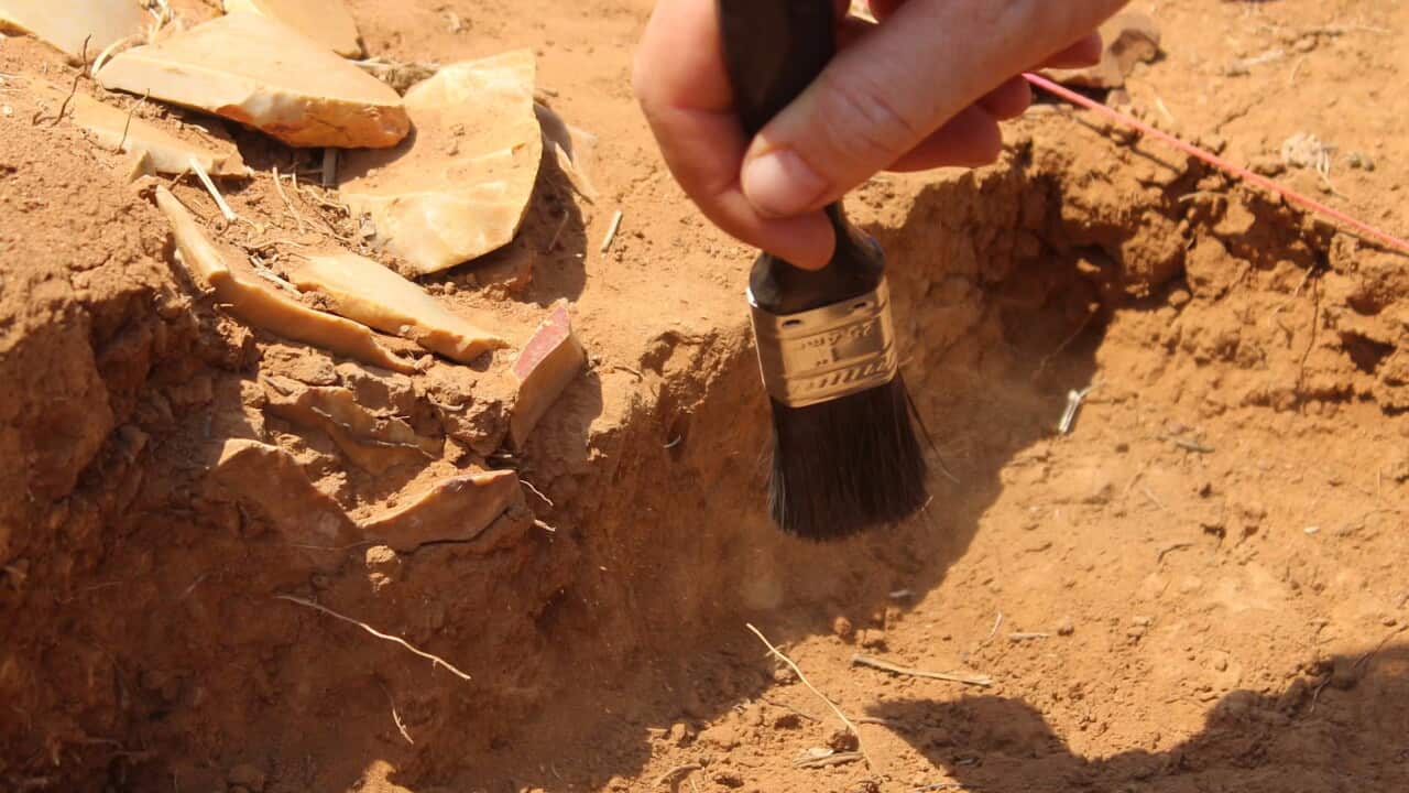 Archaeologic Cache We found a cache of rare Aboriginal artefacts, telling a story of trade ...