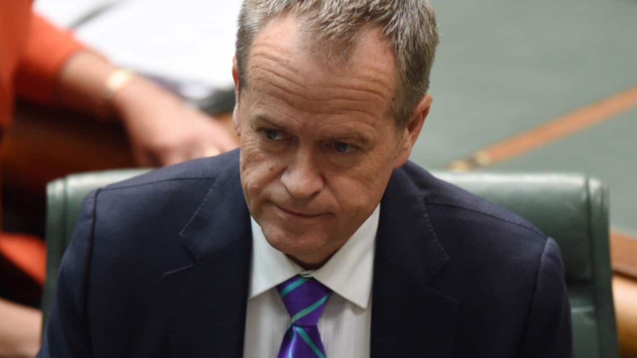 Federal Leader of the Opposition Bill Shorten