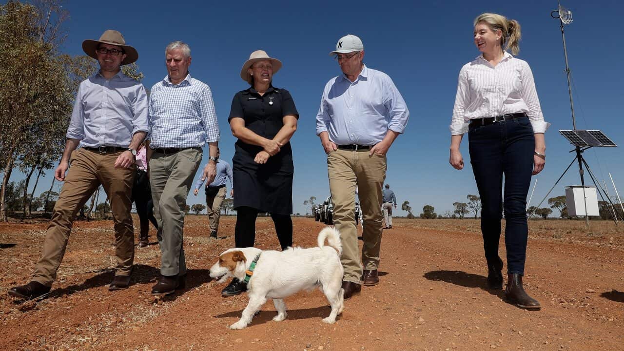 The Agriculture Minister says she does not believe aid for farmers will jeopardise Australia's free-trade obligations.