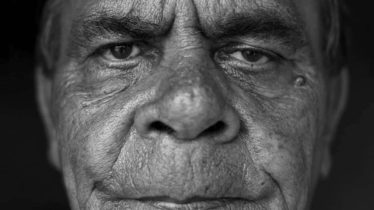 Neville Brown, for Asher Millgate's SURVIVORS exhibition.