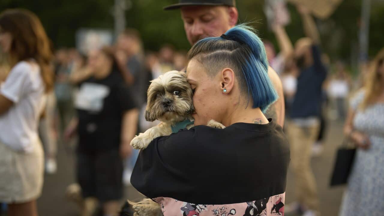 Image for read more article 'READ MORE'