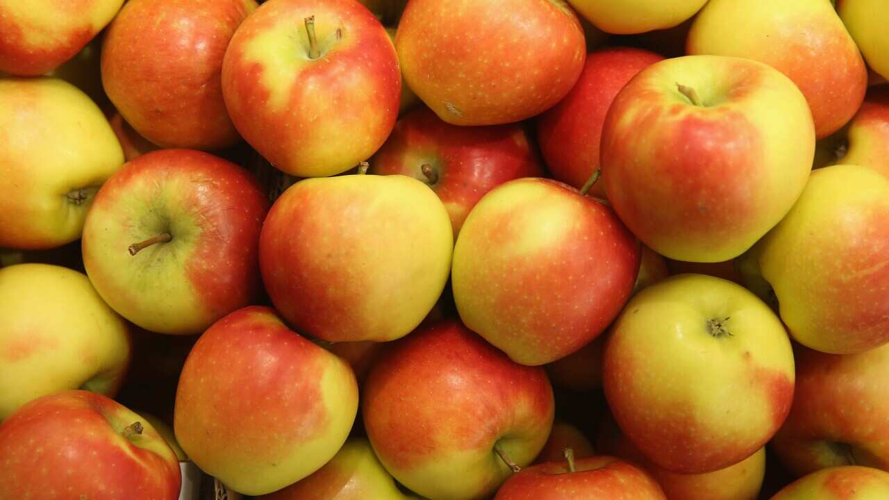 US approves apples genetically modified to prevent browning