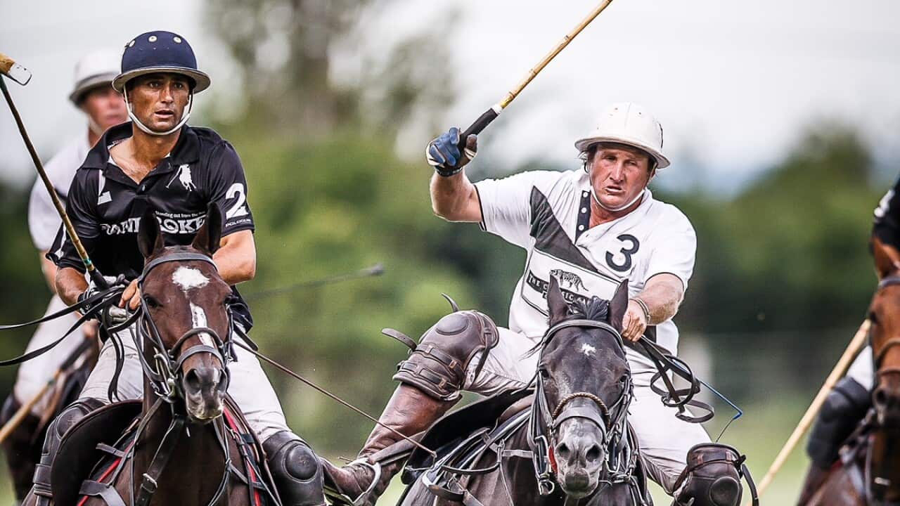 Andrew Williams (pictured right in the white shirt) on Tallabung Nemesis his famous stallion who was the sire of four horses who tragically lost their lives crossing the Tasman.