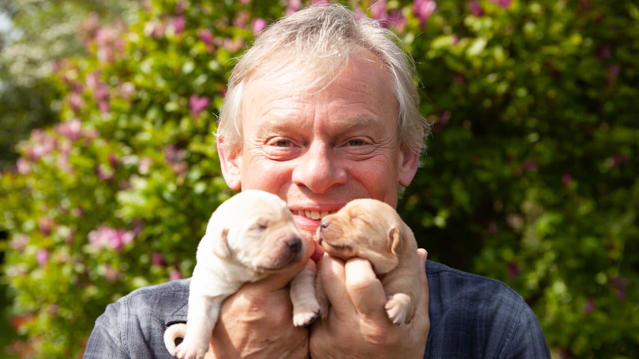 Secret World of Guide Dogs 1.jpg