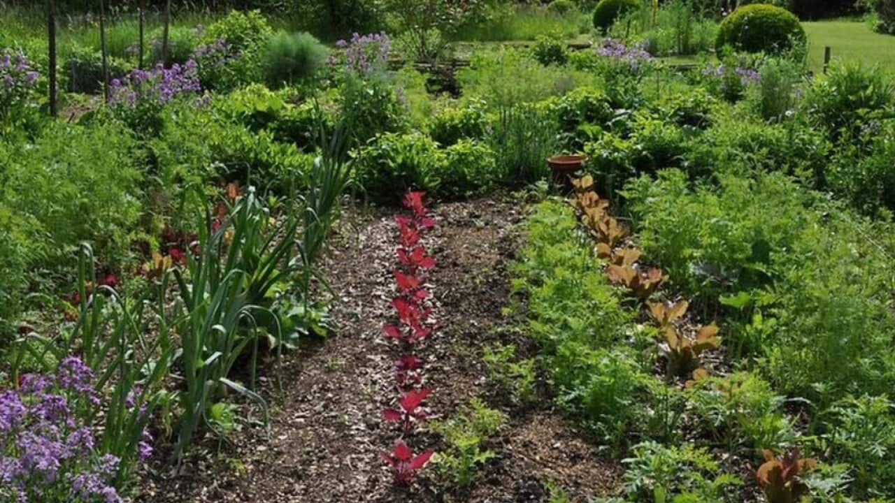 garden