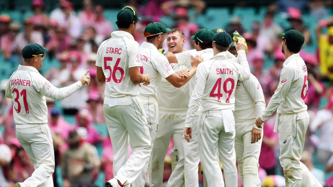 Australia's Marnus Labuschagne (centre) celebrates with teammates