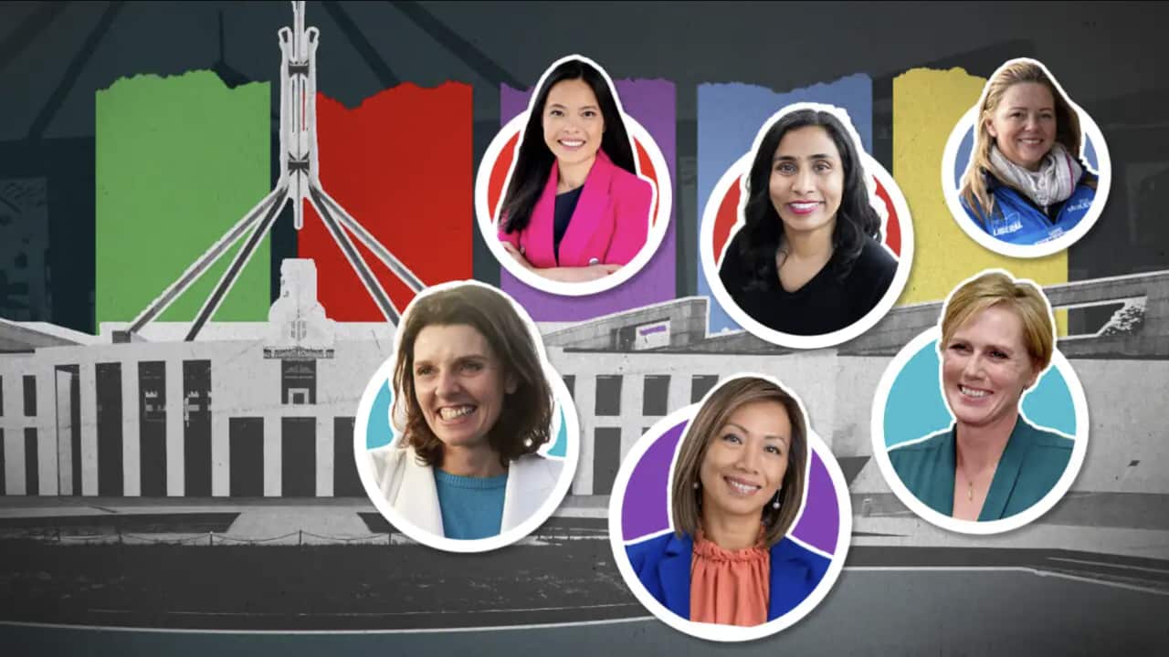 A record number of women have been elected to the House of Representatives following the federal election