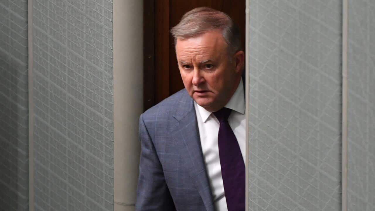 Labor leader Anthony Albanese says the government has questions to answer