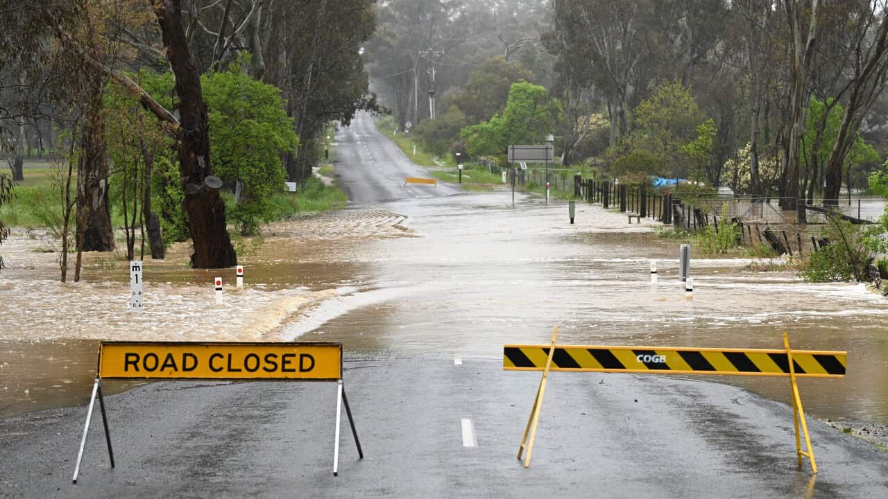 Road closed signs near Bendigo in Victoria.
