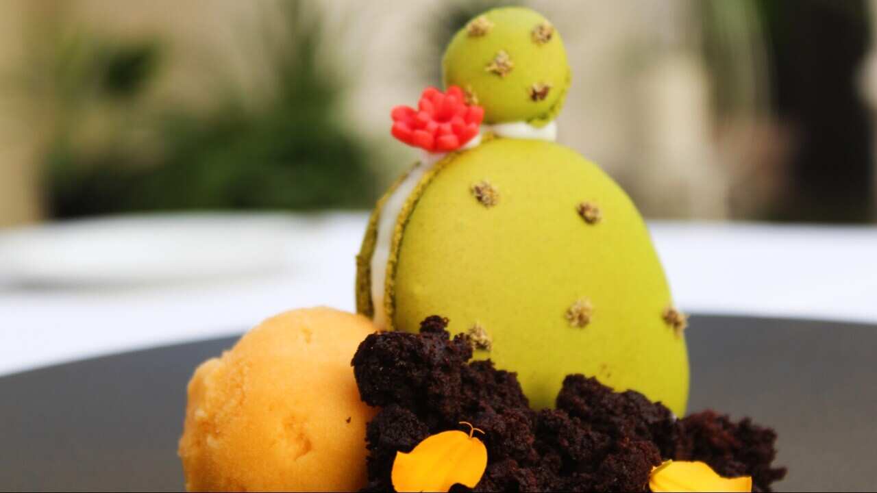 Il dessert con gelato al fico d’india con macaron al pistacchio ripieno di crema di ricotta e crumble al cioccolato.