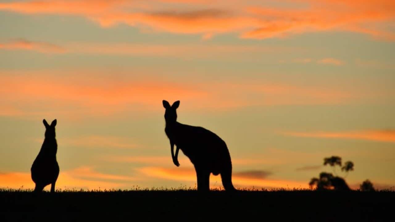 Image for read more article 'Leggi anche'