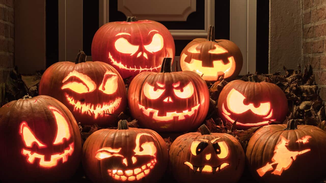 Halloween Pumpkins