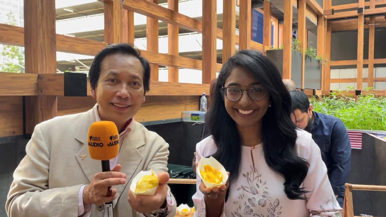 Image for read more article 'READ MORE'