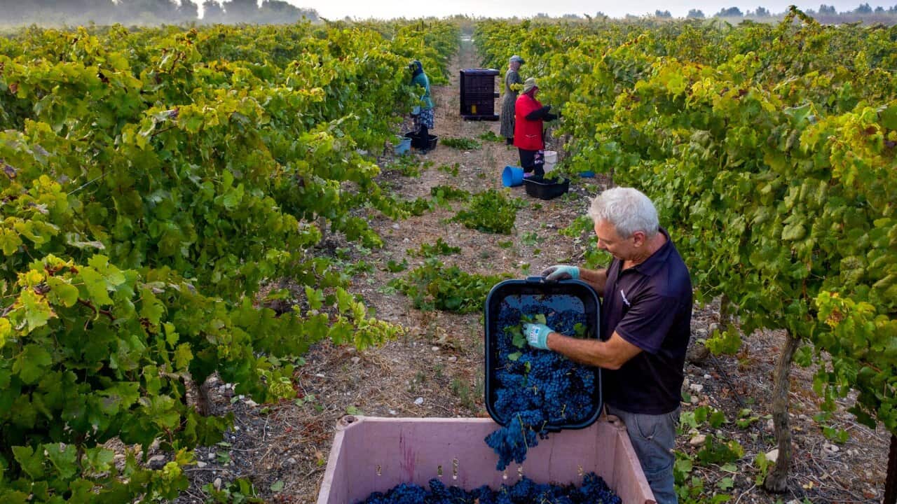 Image for read more article ''