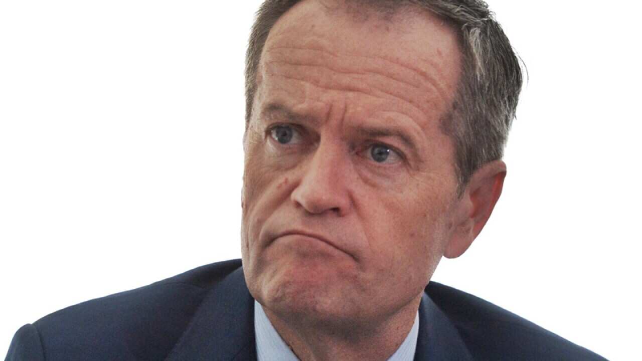 Leader of the Opposition Bill Shorten