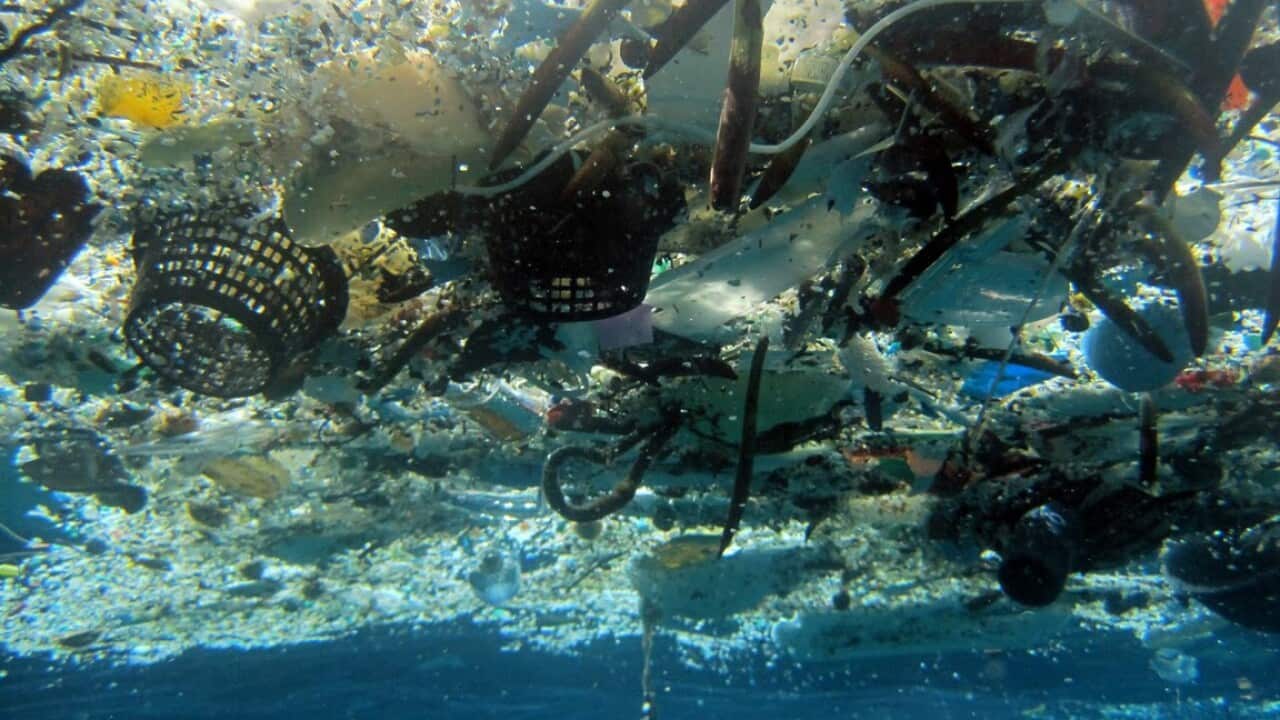 This file 2008 photo provided by NOAA Pacific Islands Fisheries Science Center shows debris in Hanauma Bay, Hawaii.